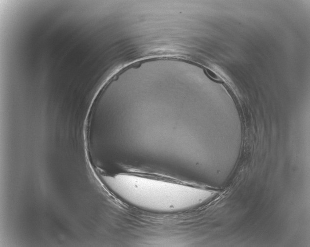 X0000067851291200605041705