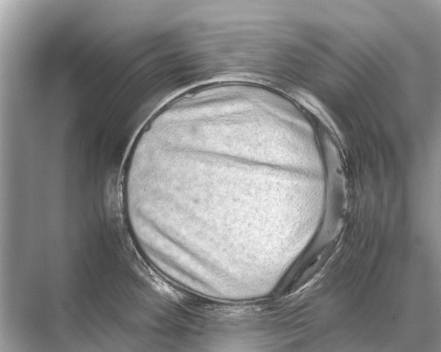 X0000067851292200605041705