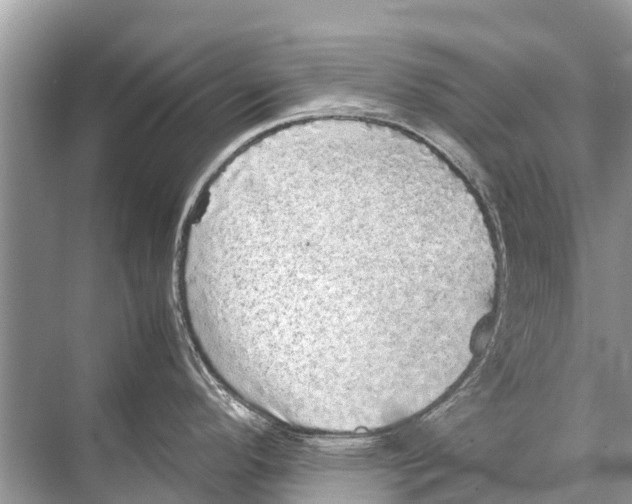 X0000067851296200605041705