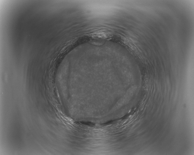 X0000067851297200605041705