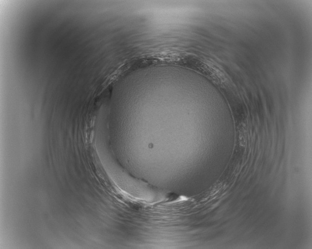 X0000067851298200605041705