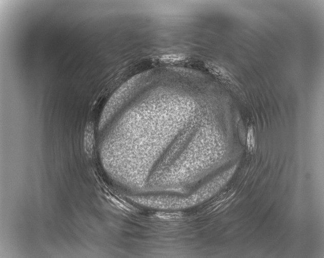 X0000067851299200605041705