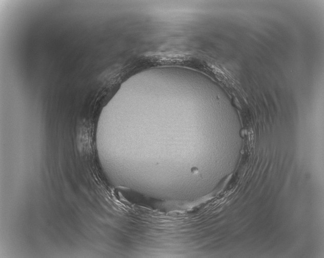 X0000067851300200605041705