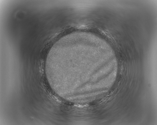 X0000067851301200605041705