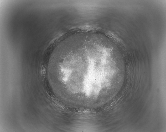 X0000067851302200605041705