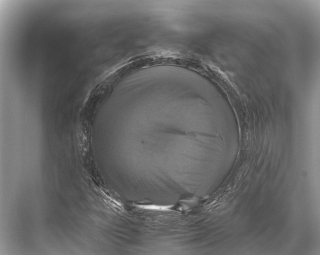 X0000067851303200605041705