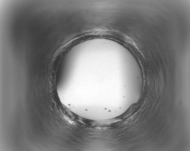 X0000067851304200605041705