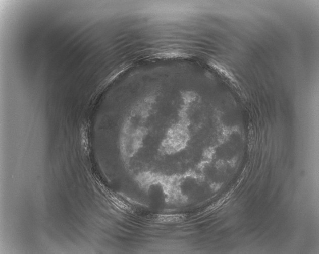 X0000067851305200605041705