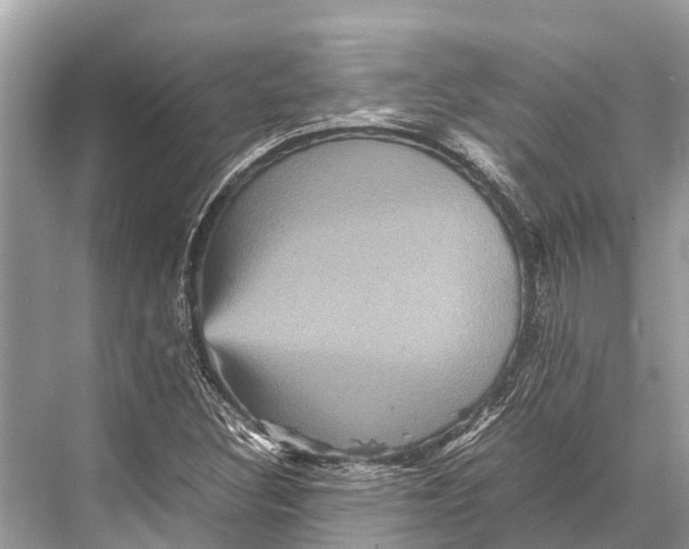 X0000067851308200605041705