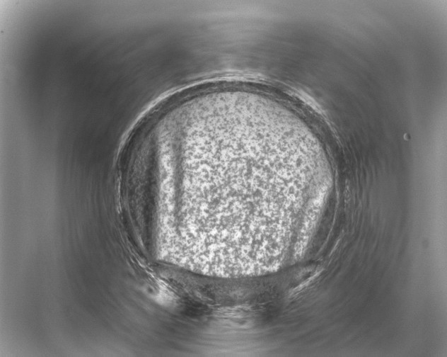 X0000067851310200605041705