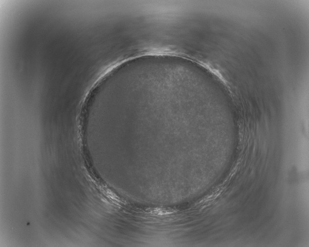 X0000067851311200605041705