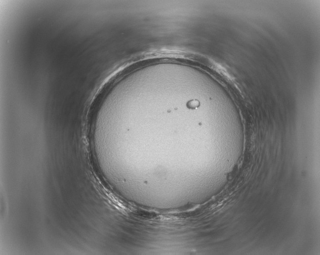 X0000067851312200605041705