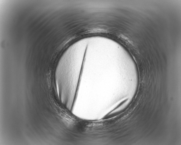 X0000067851313200605041705