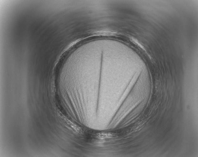 X0000067851315200605041705