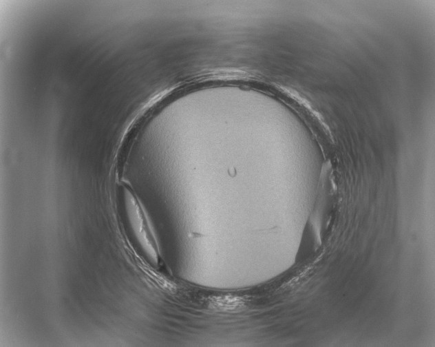 X0000067851317200605041705