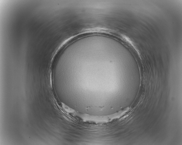 X0000067851320200605041705