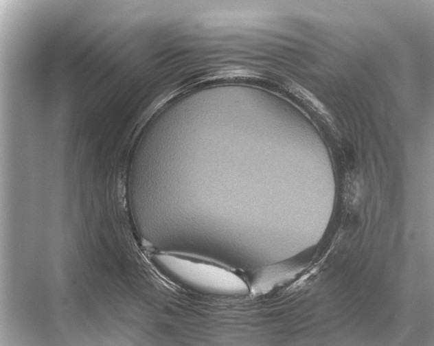 X0000067851321200605041705