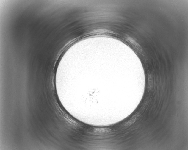 X0000067851322200605041705