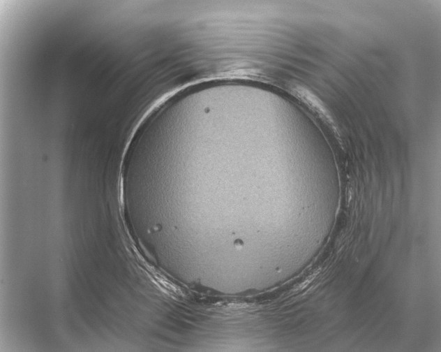 X0000067851324200605041705