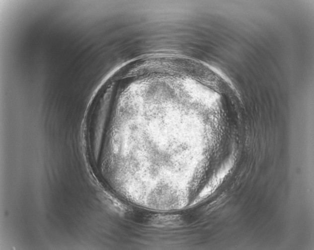 X0000067851325200605041705