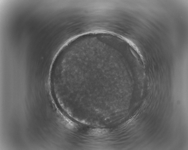 X0000067851327200605041705