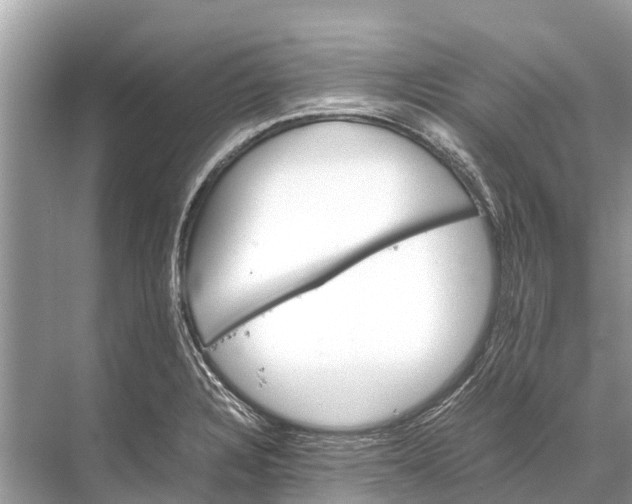 X0000067851328200605041705