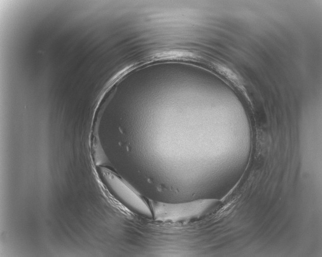 X0000067851330200605041705