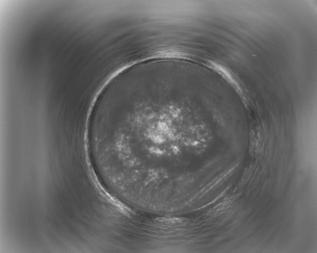 X0000067851331200605041705