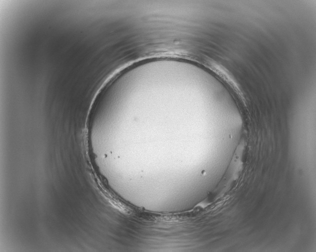 X0000067851332200605041705