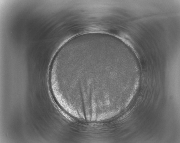 X0000067851333200605041705