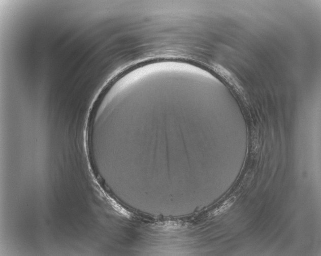 X0000067851334200605041705