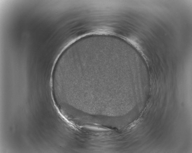 X0000067851335200605041705