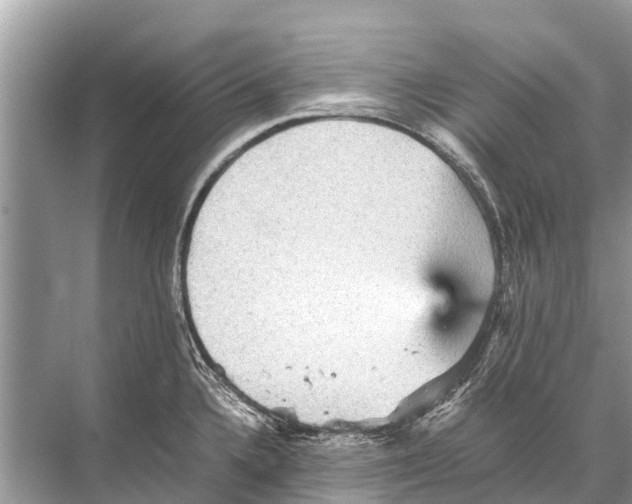 X0000067851336200605041705