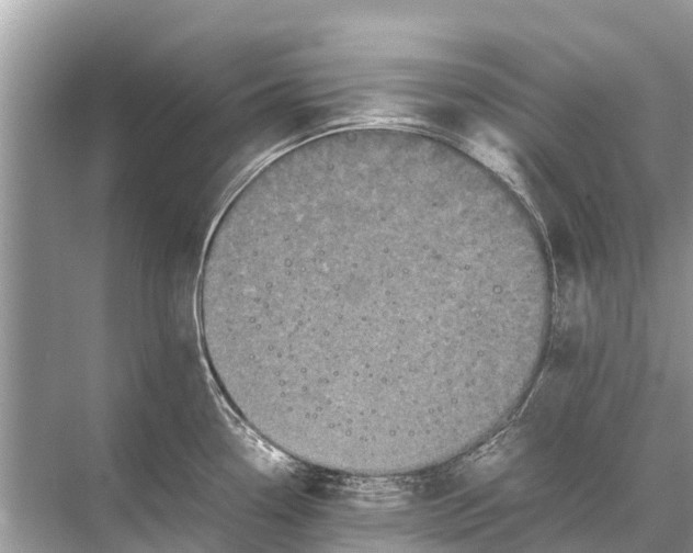 X0000067851338200605041705