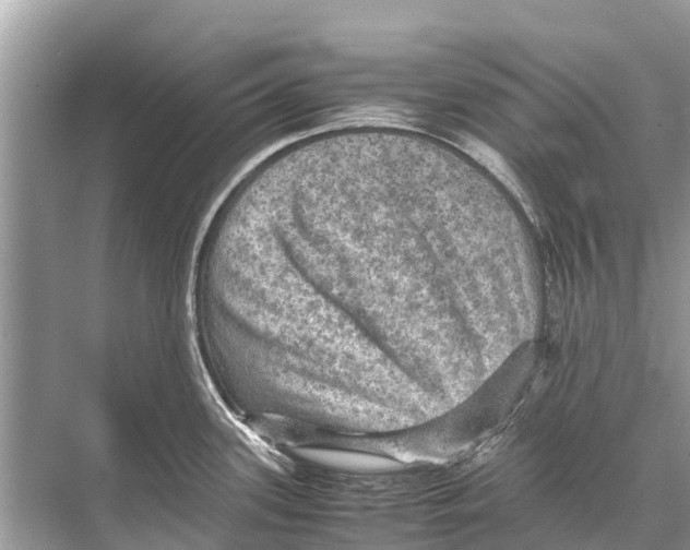 X0000067851339200605041705