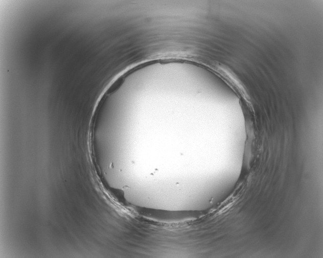 X0000067851340200605041705