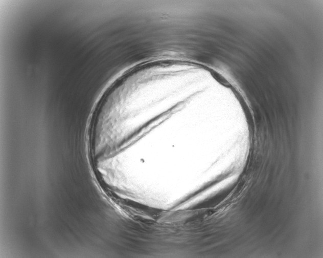 X0000067851341200605041705