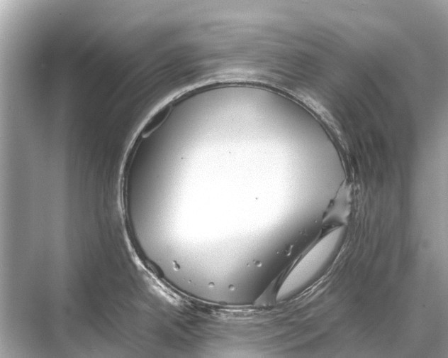 X0000067851342200605041705