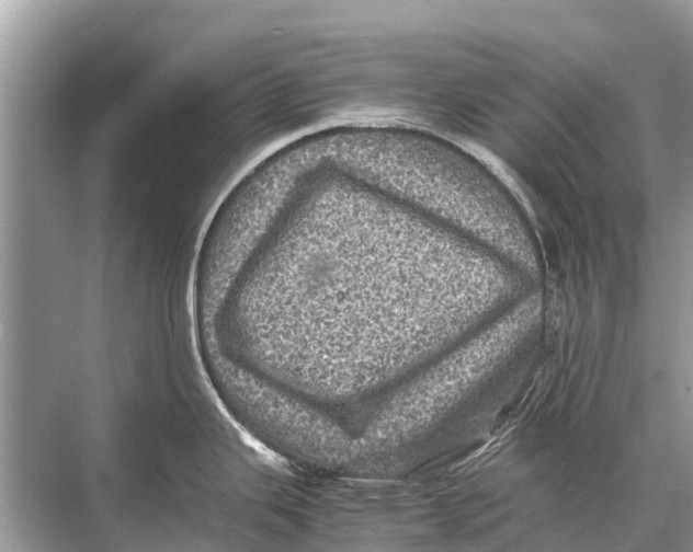 X0000067851343200605041705