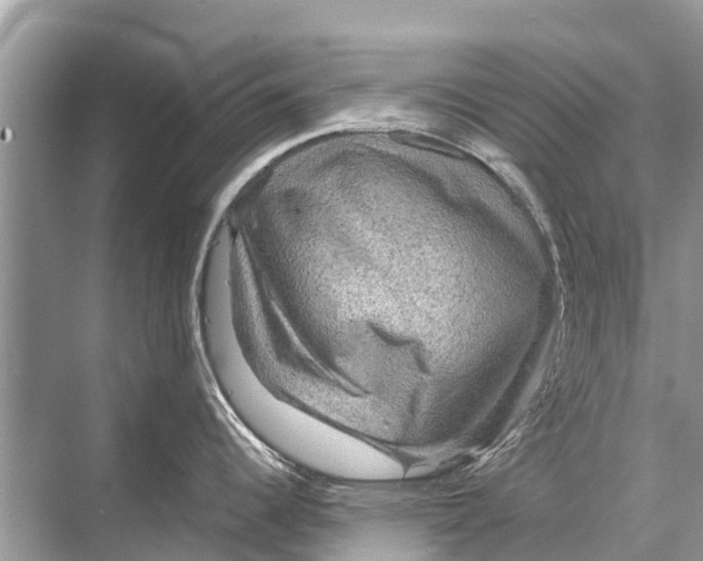 X0000067851344200605041705