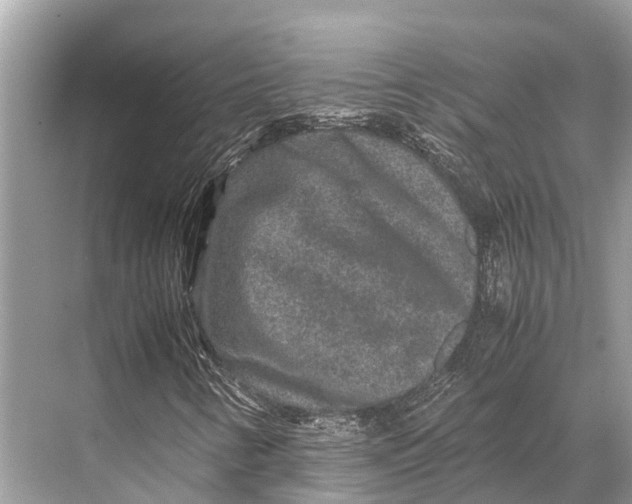 X0000067851346200605041705