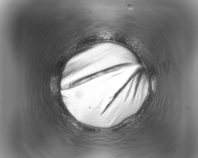 X0000067851347200605041705