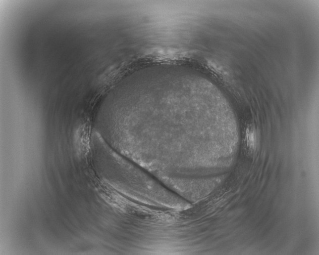 X0000067851348200605041704