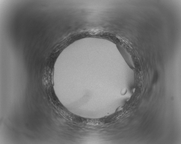 X0000067851349200605041704