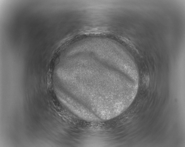 X0000067851350200605041704