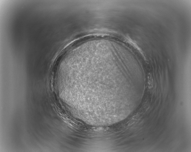 X0000067851352200605041704