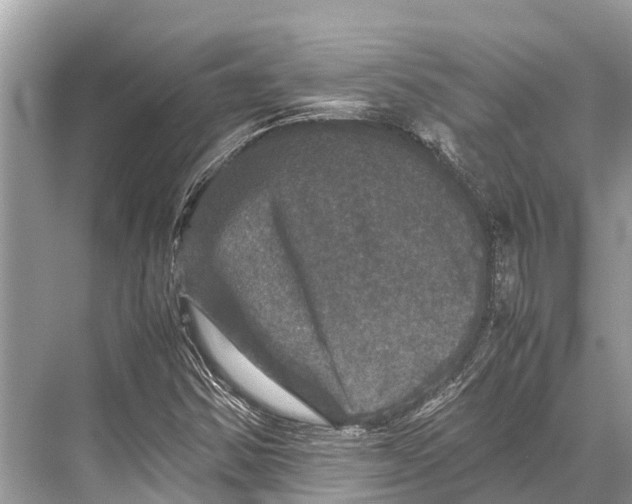 X0000067851354200605041704