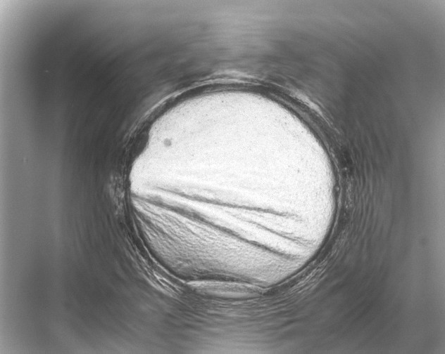 X0000067851355200605041704