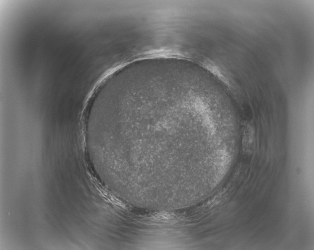 X0000067851358200605041704