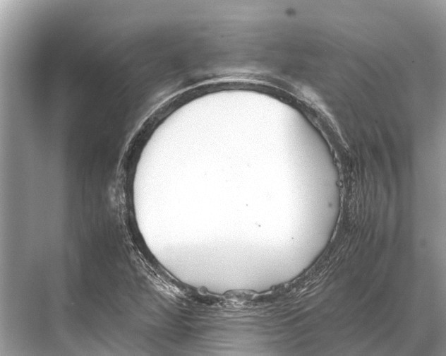 X0000067851360200605041704